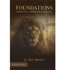 Jeff Brown Raising Lions Books